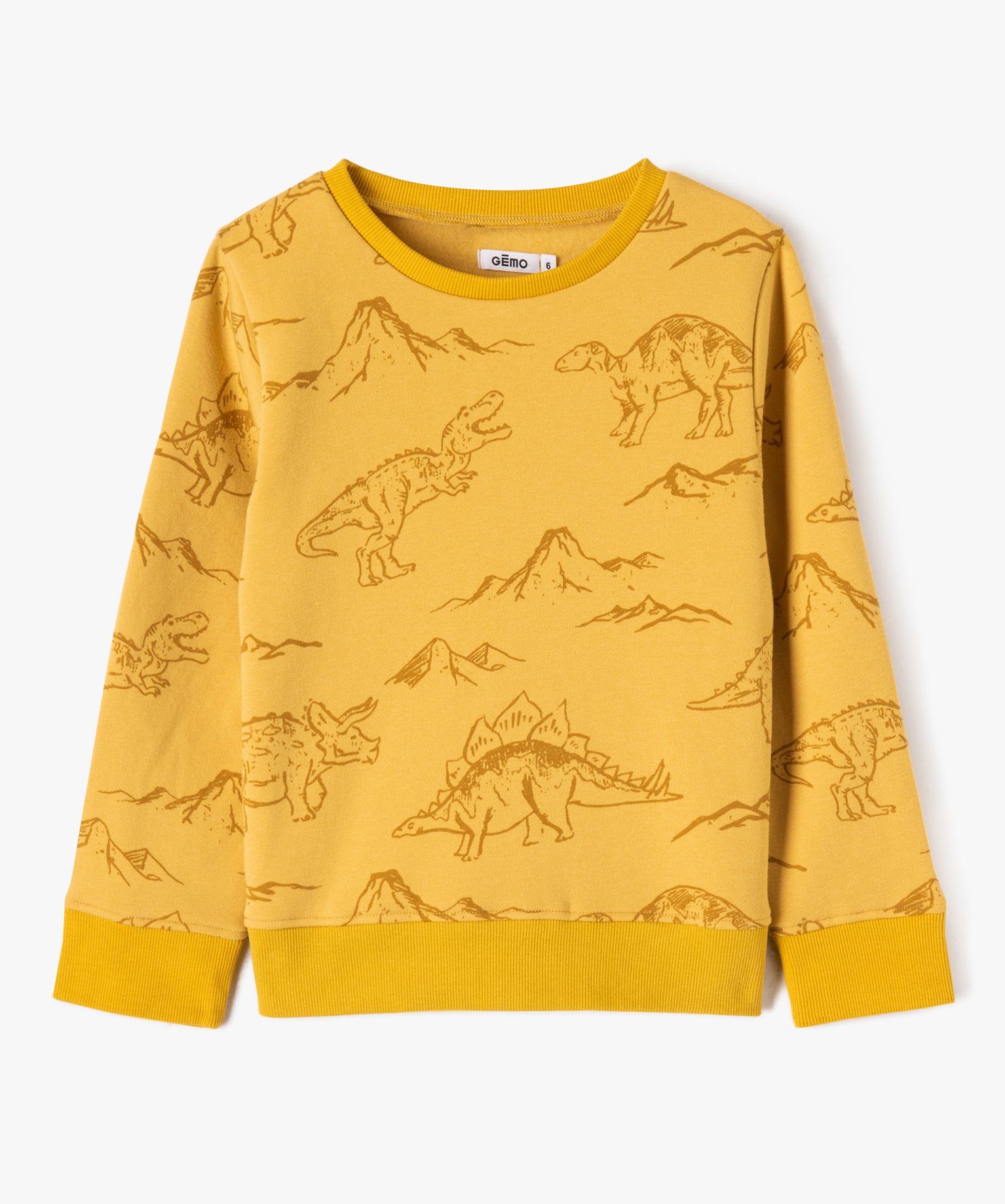 Sweat molletonné avec motifs dinosaures Garçon imprime | GEMO