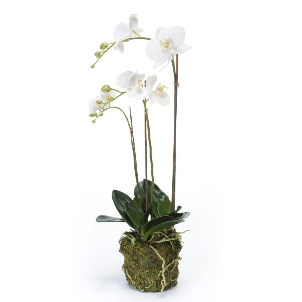 Kunstrasen Künstliche Phalaenopsis-Orchidee Weiß 70 cm, Emerald, Höhe: 70 mm