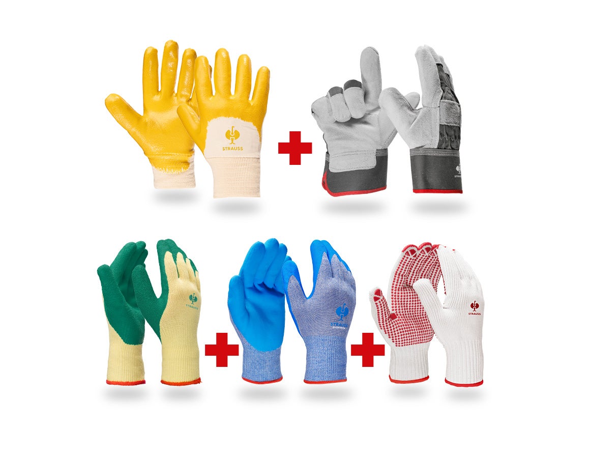 Handschuh- Profi Set Bau