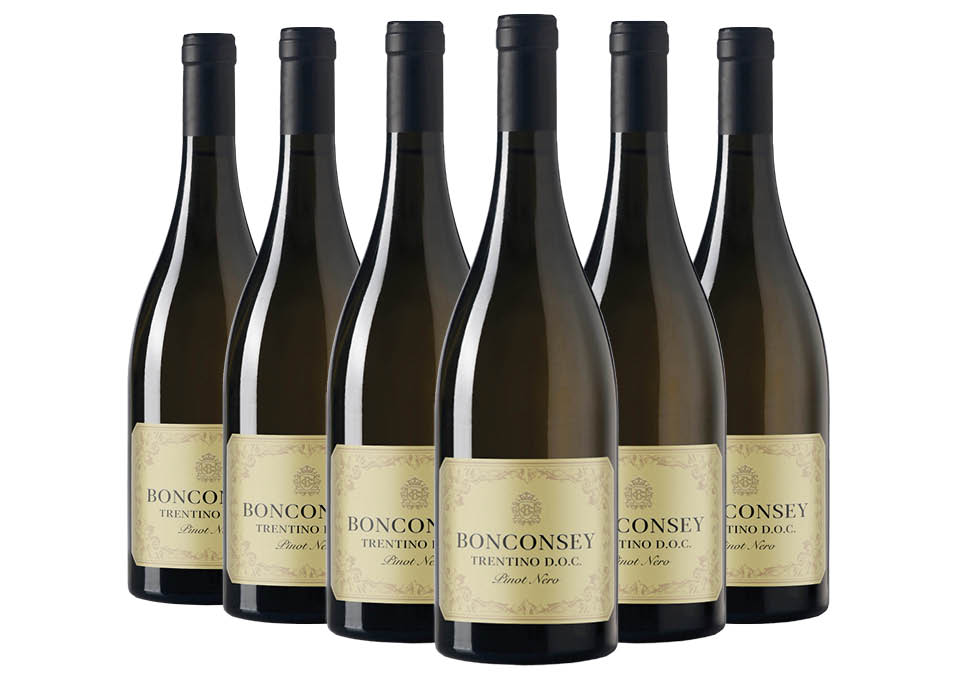 Trentino Pinot Nero DOC 2020 Bonconsey 6 bouteilles de 0,75 ℓ