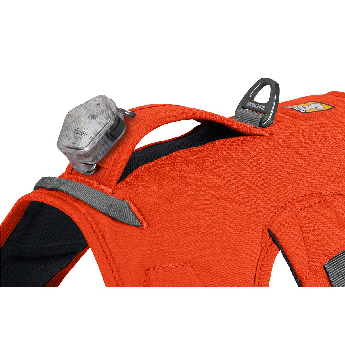 Ruffwear Geschirr Web Master Blaze Orange kaufen bei ZooRoyal