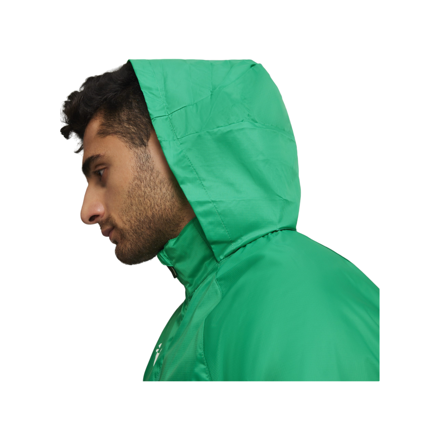 PUMA teamGOAL Allwetterjacke Grün Weiss F05
