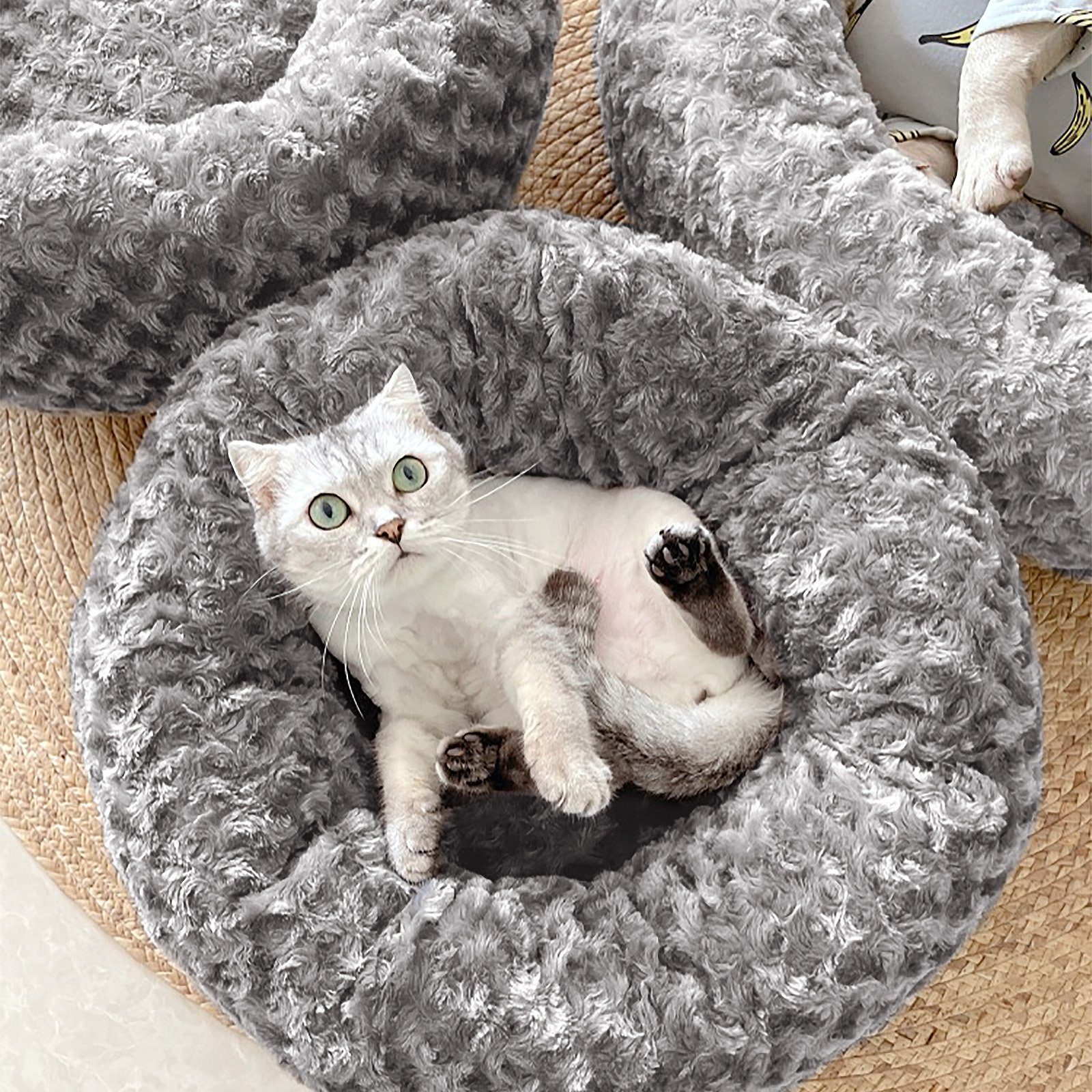 CALIYO Tierbett Hundebett Hundekissen Katzenbett, Waschbar Hundesofa, flauschig Kissen Rund aus Plüsch für Kleine, Mittelgroße Hunde, Katzen