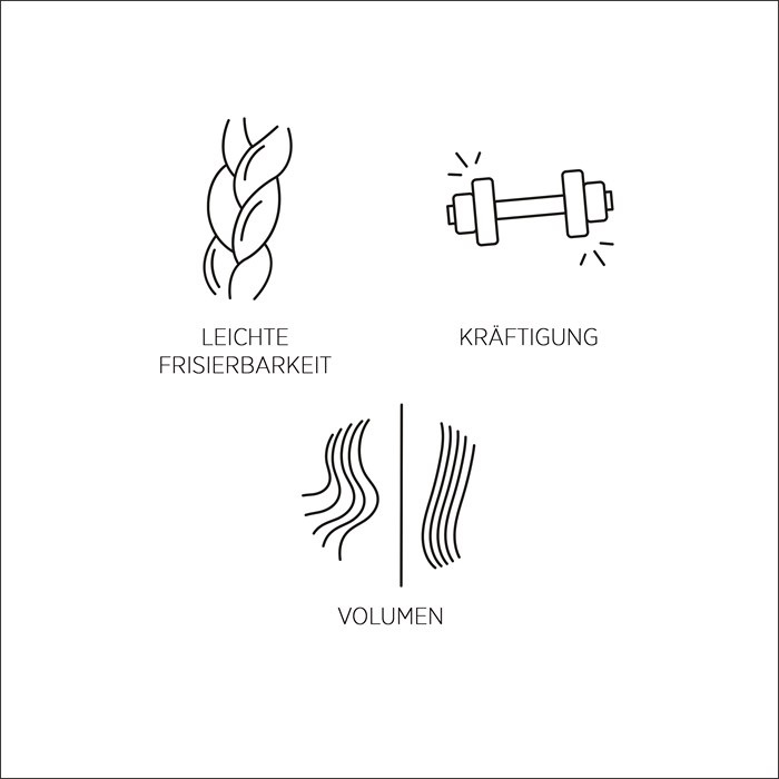 Shampoo V1