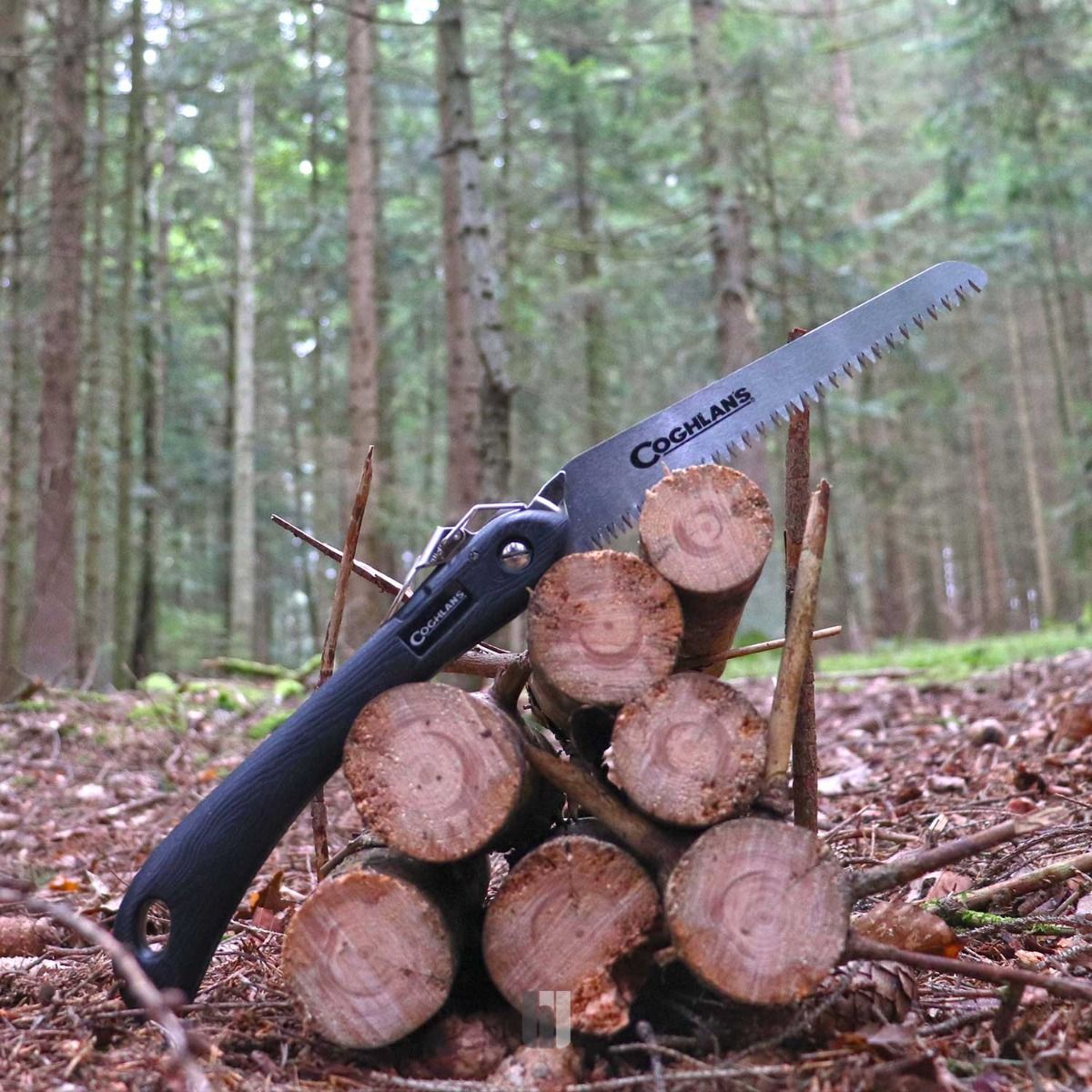 Säge Sierra