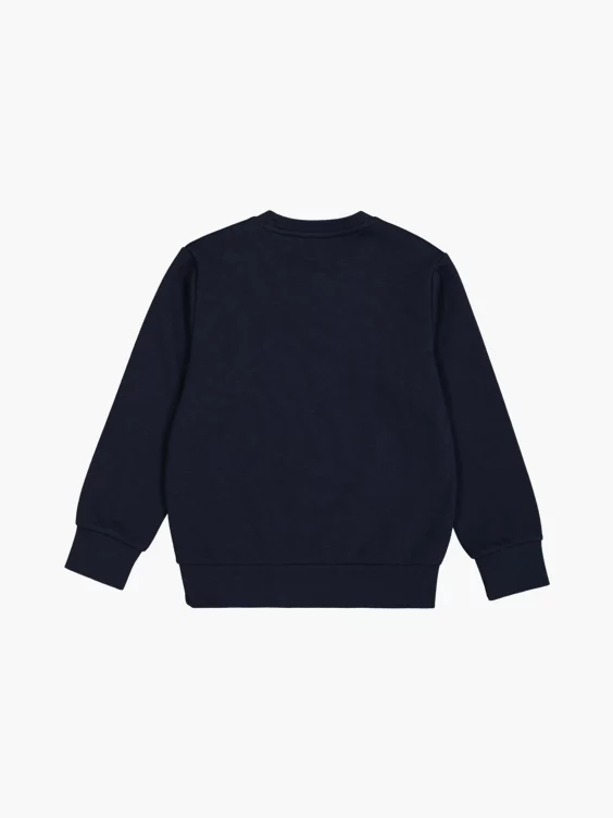 Champion Sweatshirt