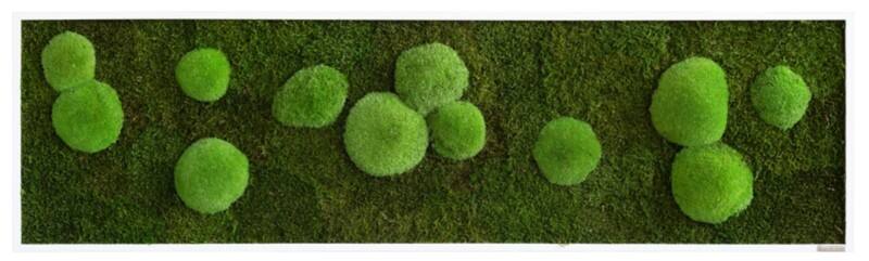 best of GREEN Moos-Wand boGsGMbWKm140x40HoWe Grün
