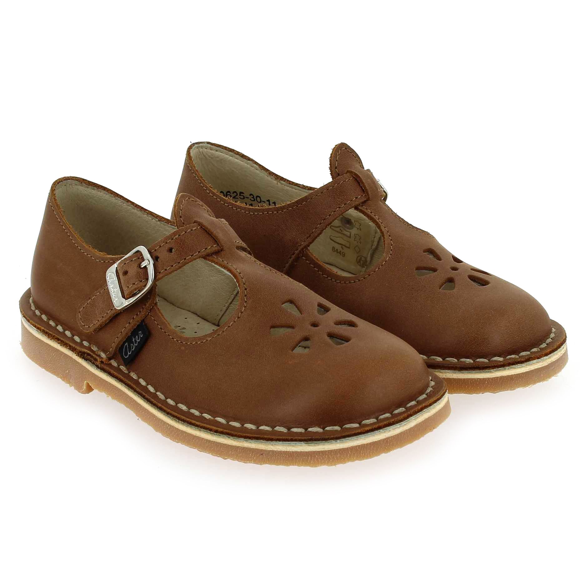 Aster  DINGO - Cognac