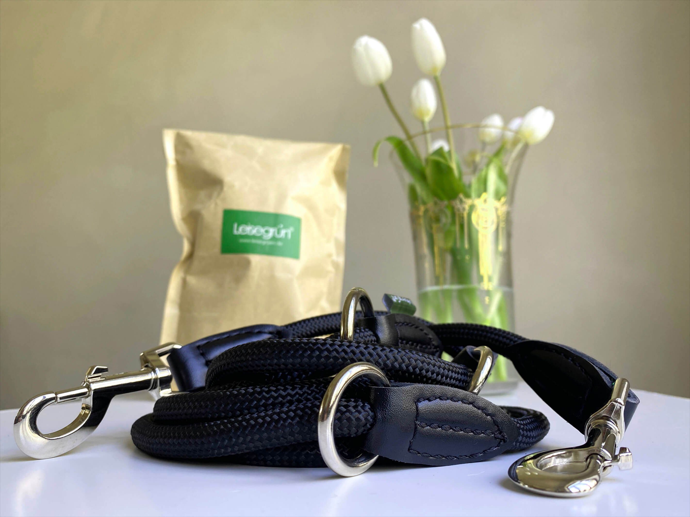 Leisegrün Hundeleine Hundeleine für große Hunde, Hundeleine 3m aus Nylon verstellbar, Nylon (Modell Derby)