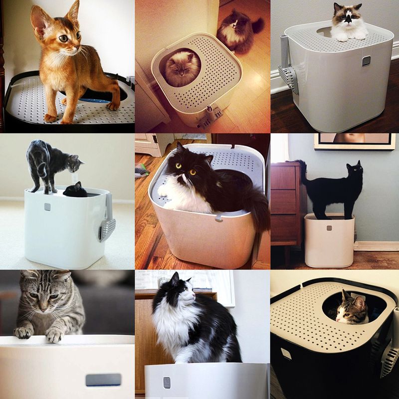 Modkat Katzentoilette zu TOP-Preisen