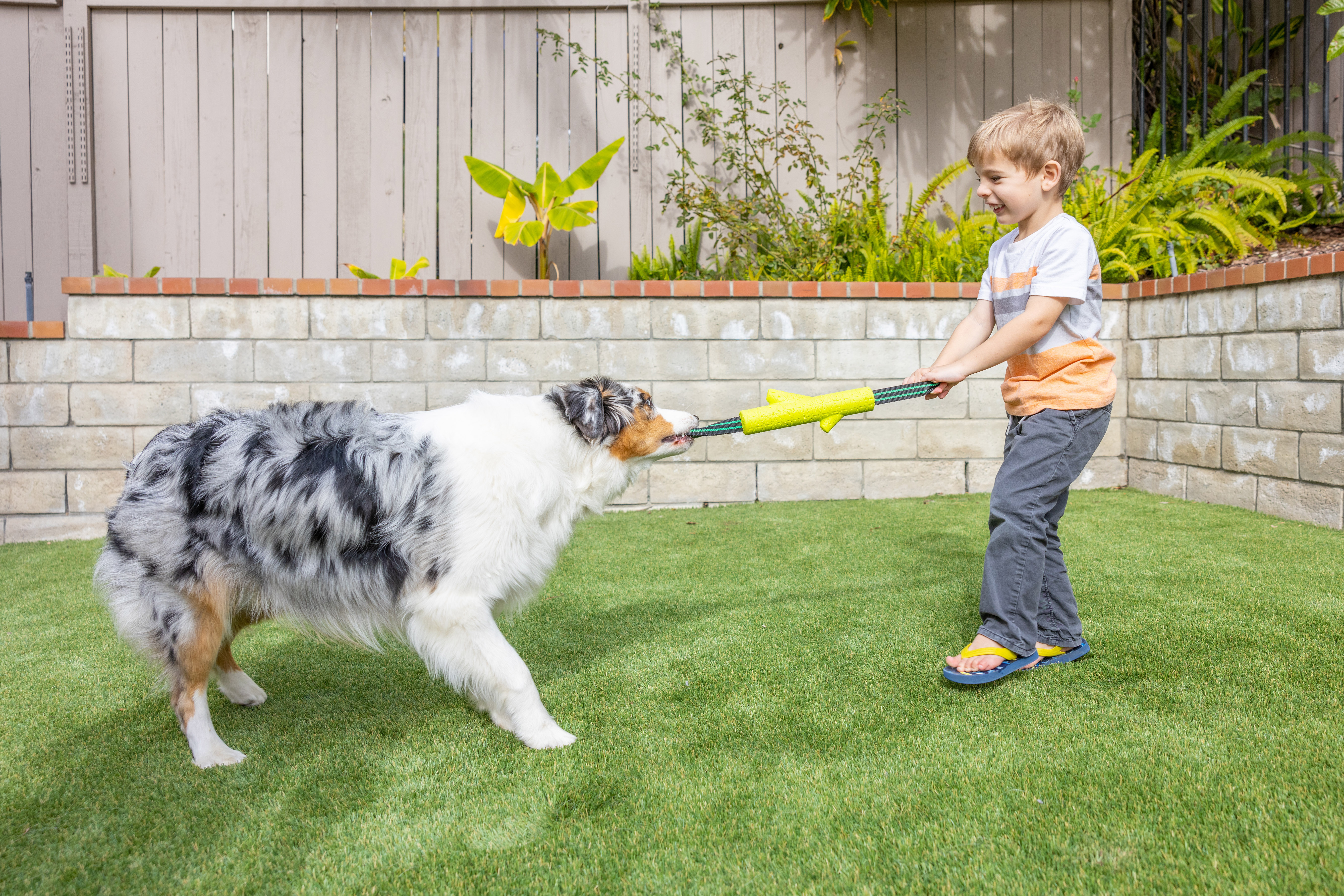 Hyper Pet Frisbees & Wurfspielzeug Hyper Pet Grab Tabs EVA Fetch Stick