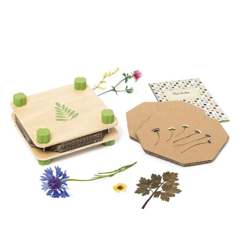 Presse à fleurs et son herbier Oxybul