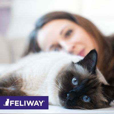 Feliway® Classic