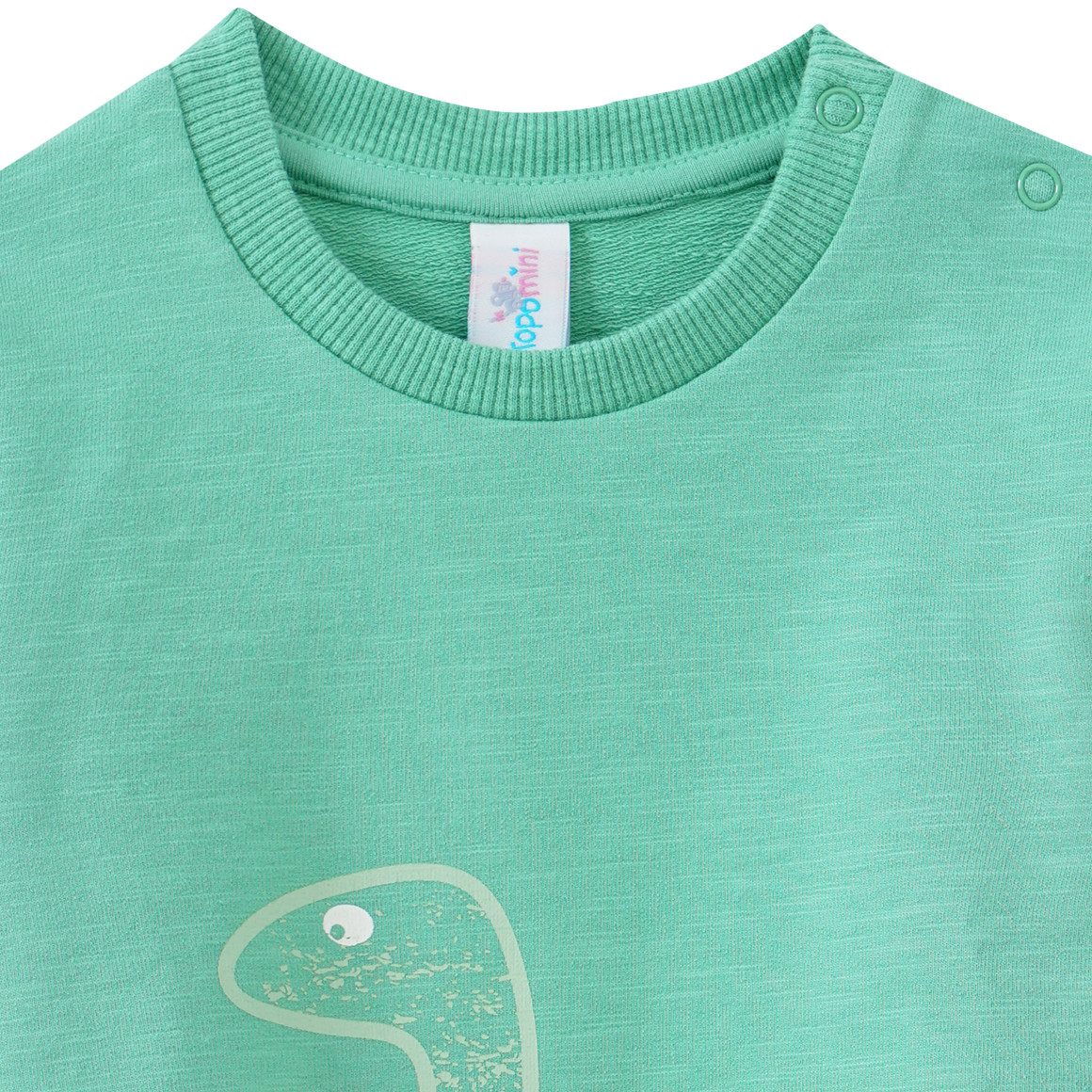 Baby Sweatshirt mit Dino-Applikation