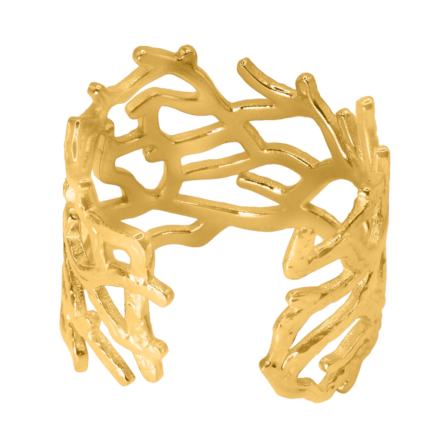 Anillo de Heideman Maeci