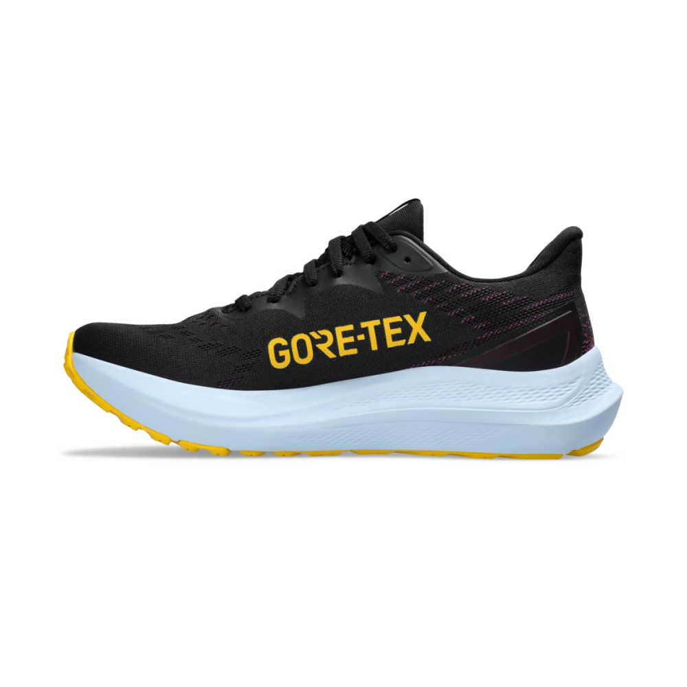 Asics GT 2000 12 GTX 1012B507-001 / schwarz