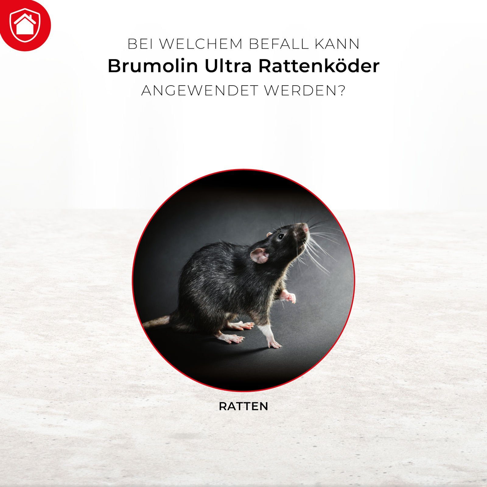 Protect Home Gift-Rattenköder Protect Home Rodicum Ratten Getreideköder - 400 g