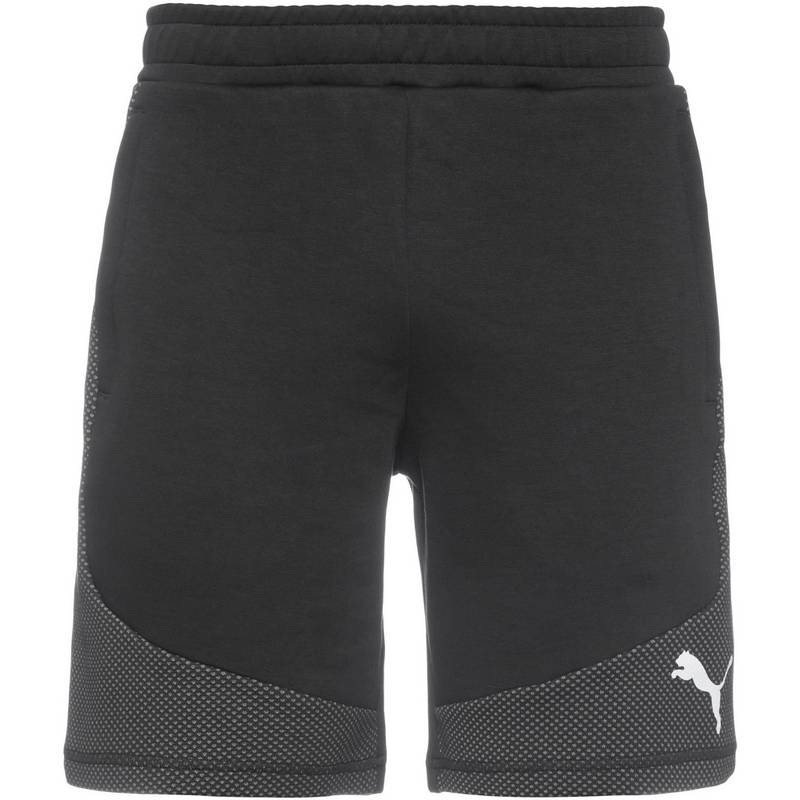 PUMA Evostripe Trainingshose Herren