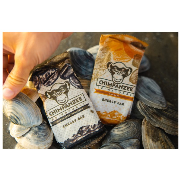 Chimpanzee - Energy Riegel Apple/Ginger - Energieriegel