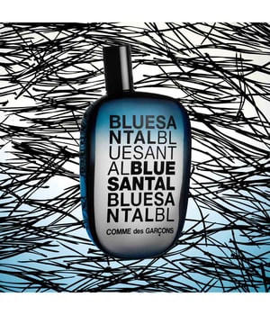 Comme des Garcons Blue Santal Eau de Parfum-100 ml