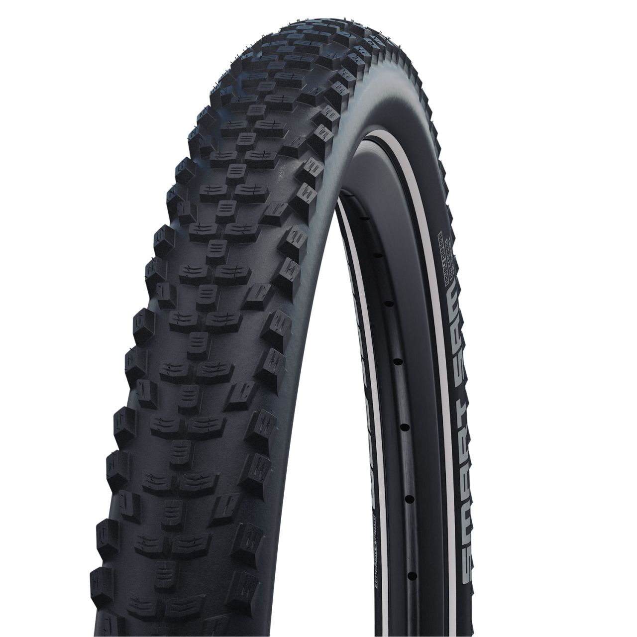 Schwalbe Smart Sam Plus Performance 29