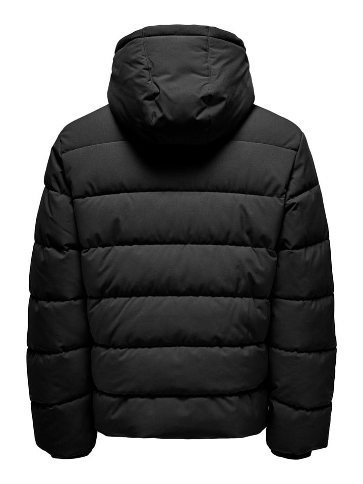 ONLY & SONS Steppjacke in Schwarz günstig kaufen