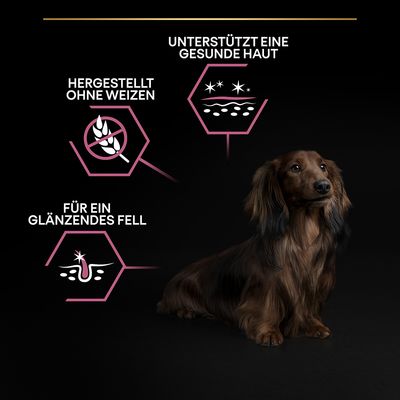 PURINA PRO PLAN Small & Mini Adult Sensitive Skin