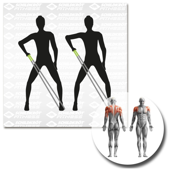 Schildkröt Fitness - Expander Set Pro - Expander