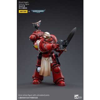 Warhammer 40k Actionfigur: Blood Angels Veteran Vigna