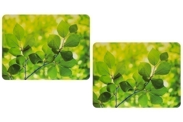MyFlair Platzset 'Buchenzweig' 2er Sat, aus Kork,