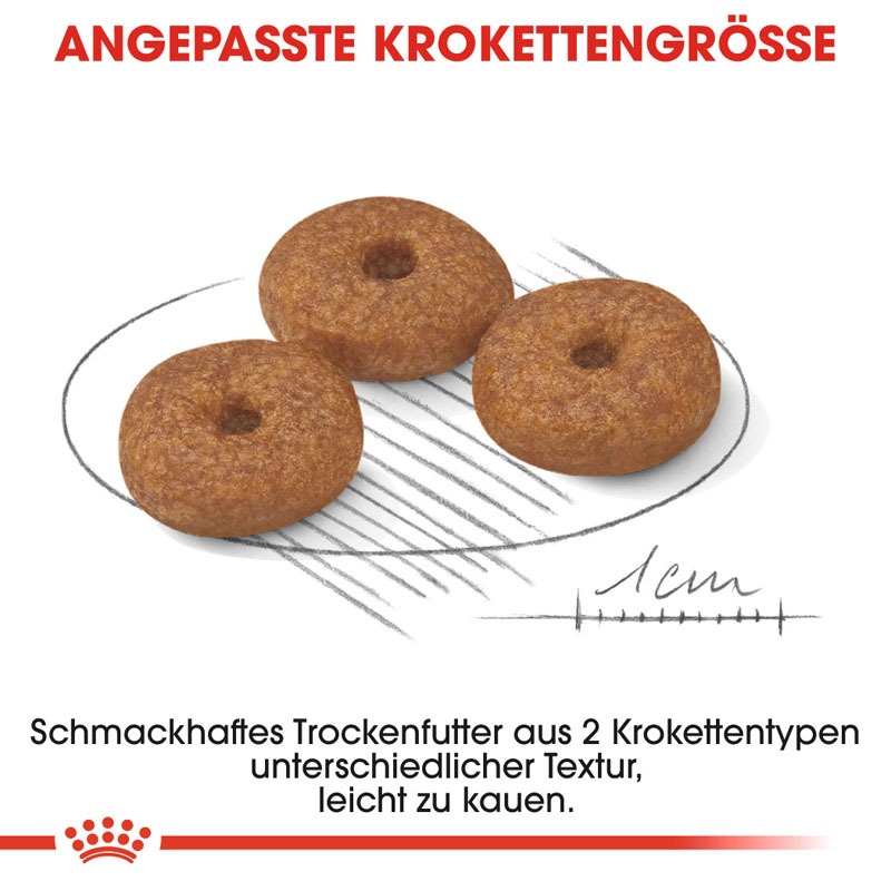 ROYAL CANIN Hundetrockenfutter ROYAL CANIN Mini Ageing 12+ 1,5 kg