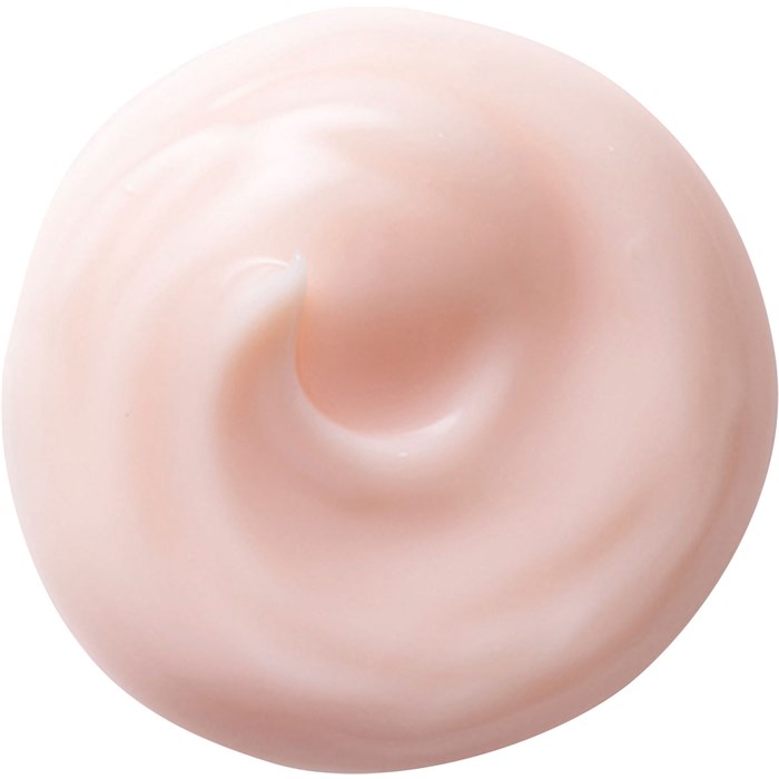 NutriPerfect Night Cream