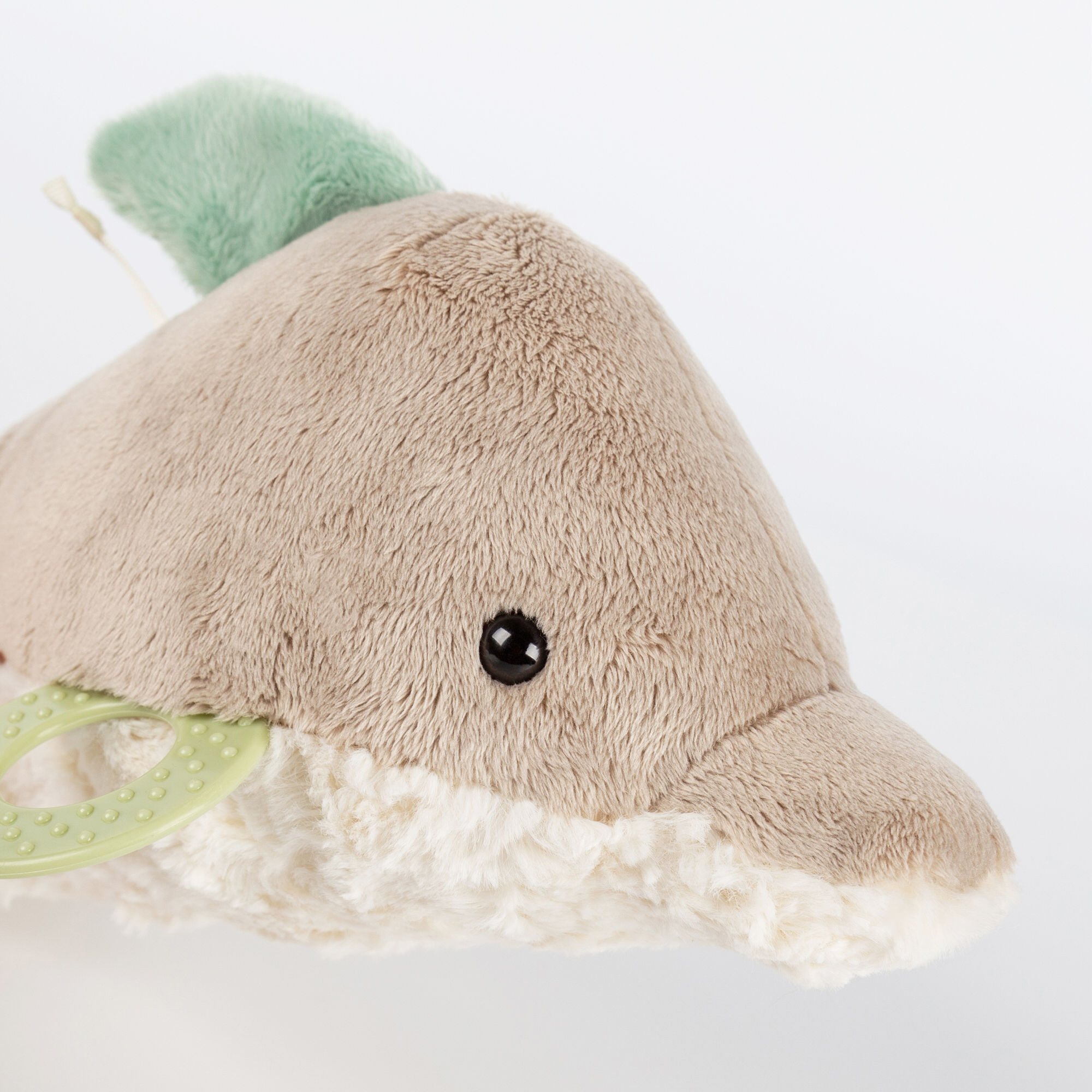 Baby Aktiv Delfin