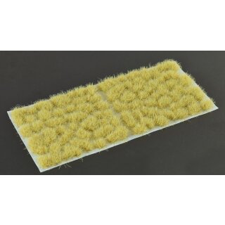 Beige 6mm Wild