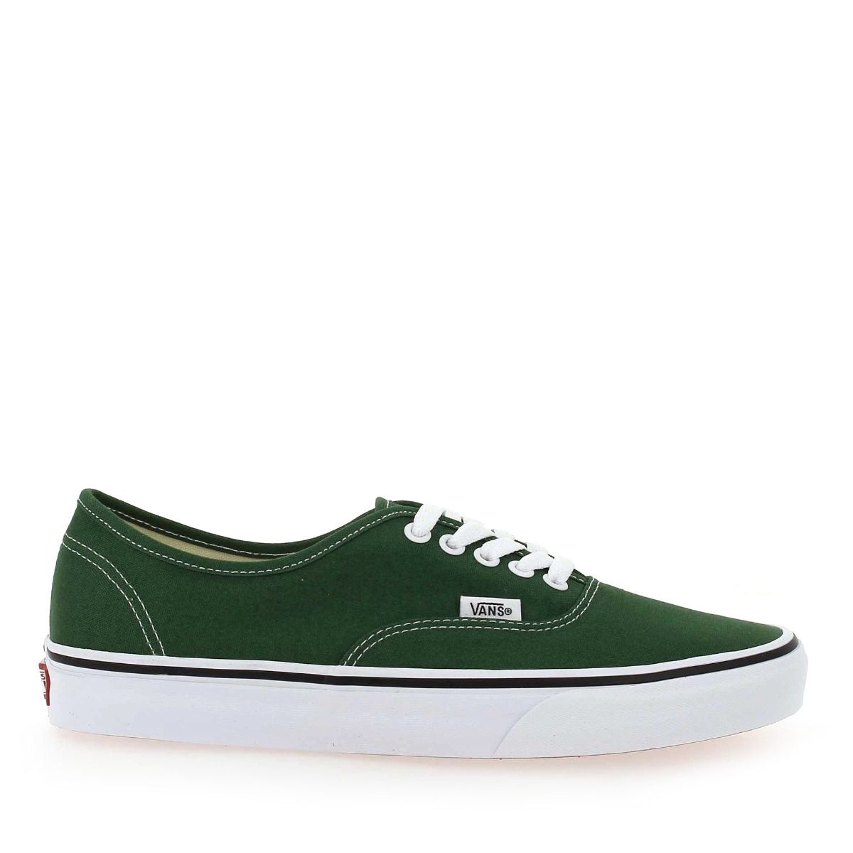 Vans  AUTHENTIC COLOR THEORY - Vert