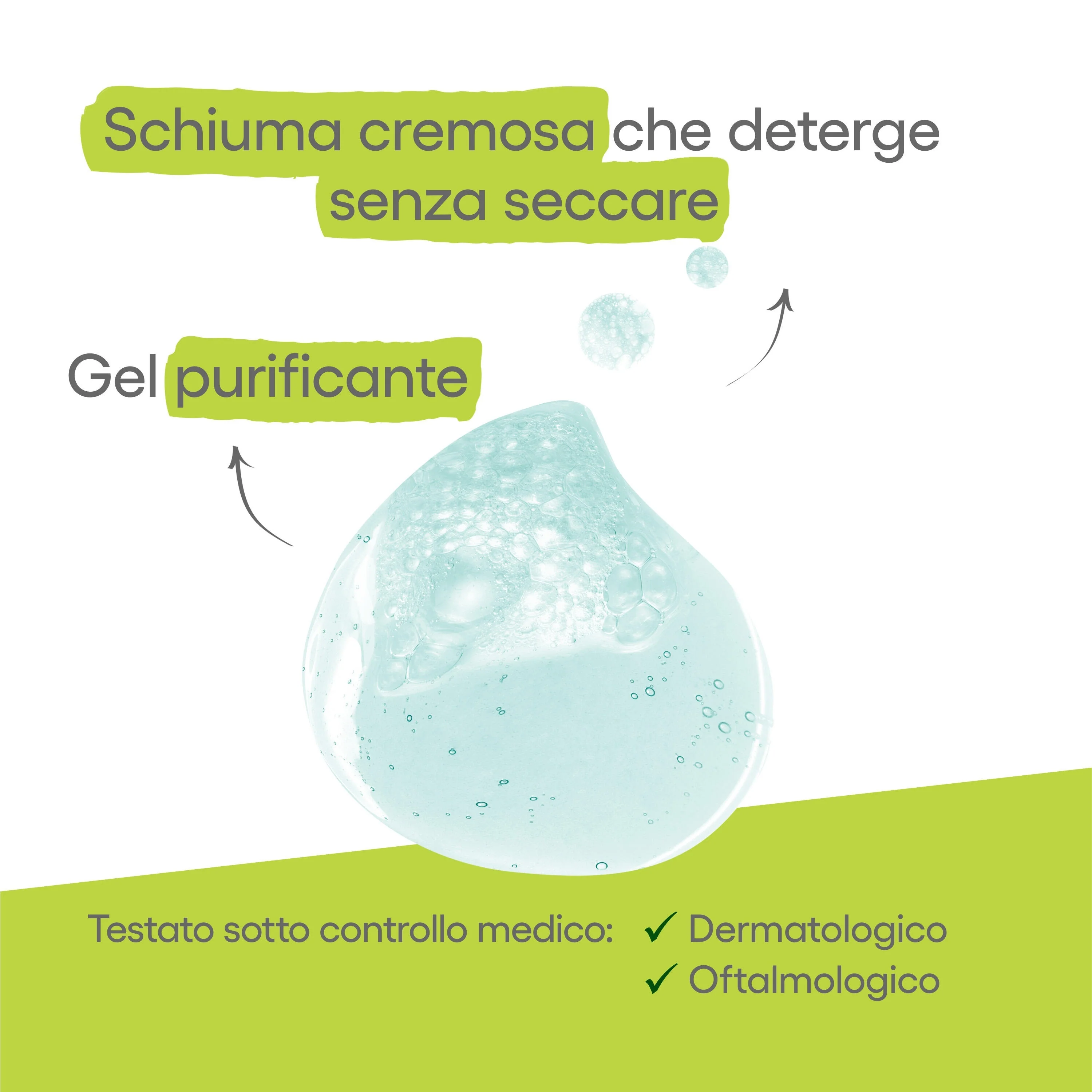 Biology AC -geelipesuaine silmille