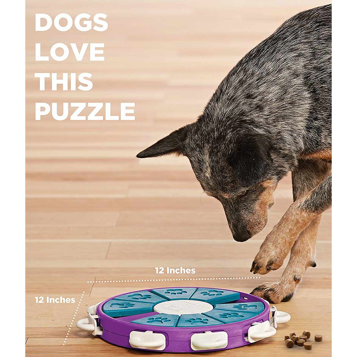 Dog Twister Intelligenzspielzeug günstig kaufen bei ZooRoyal