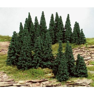 Steckfichten 5-7 cm (100 Stk.)