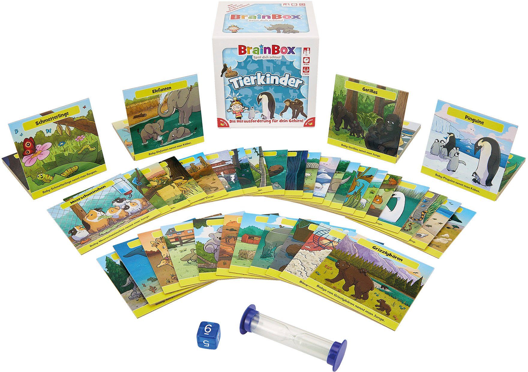 BrainBox Spiel, Tierkinder