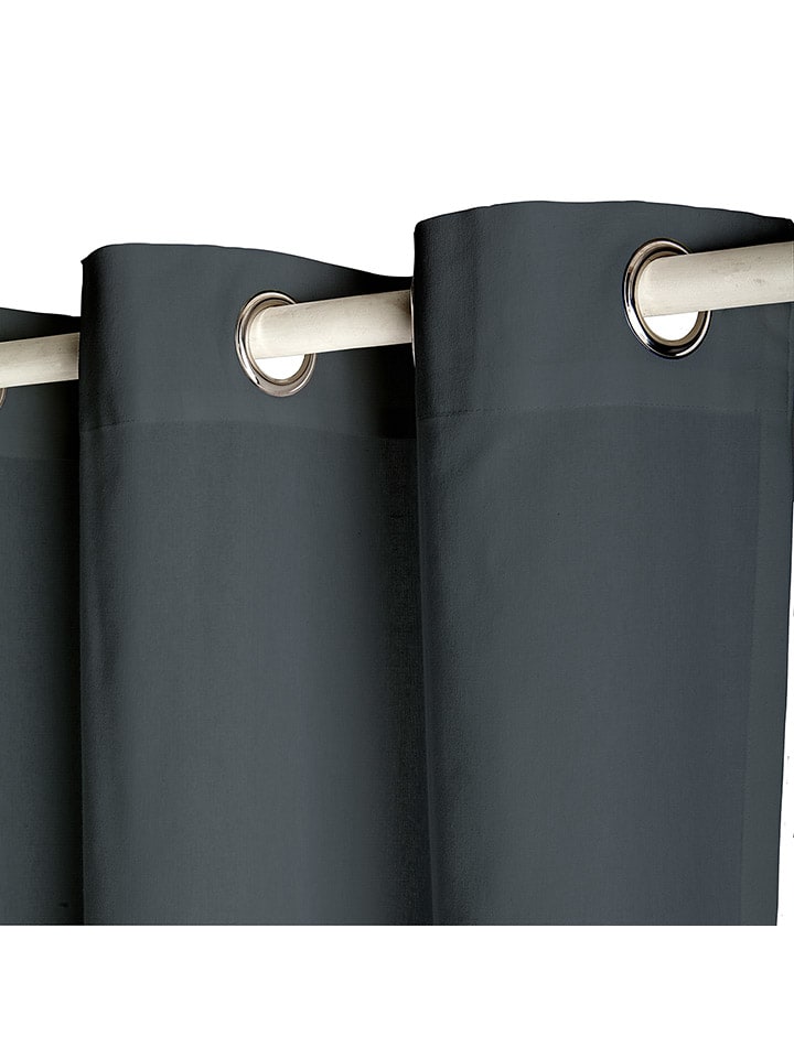 Today Ösen-Vorhang in Anthrazit - (L)260 x (B)140 cm günstig kaufen onesize