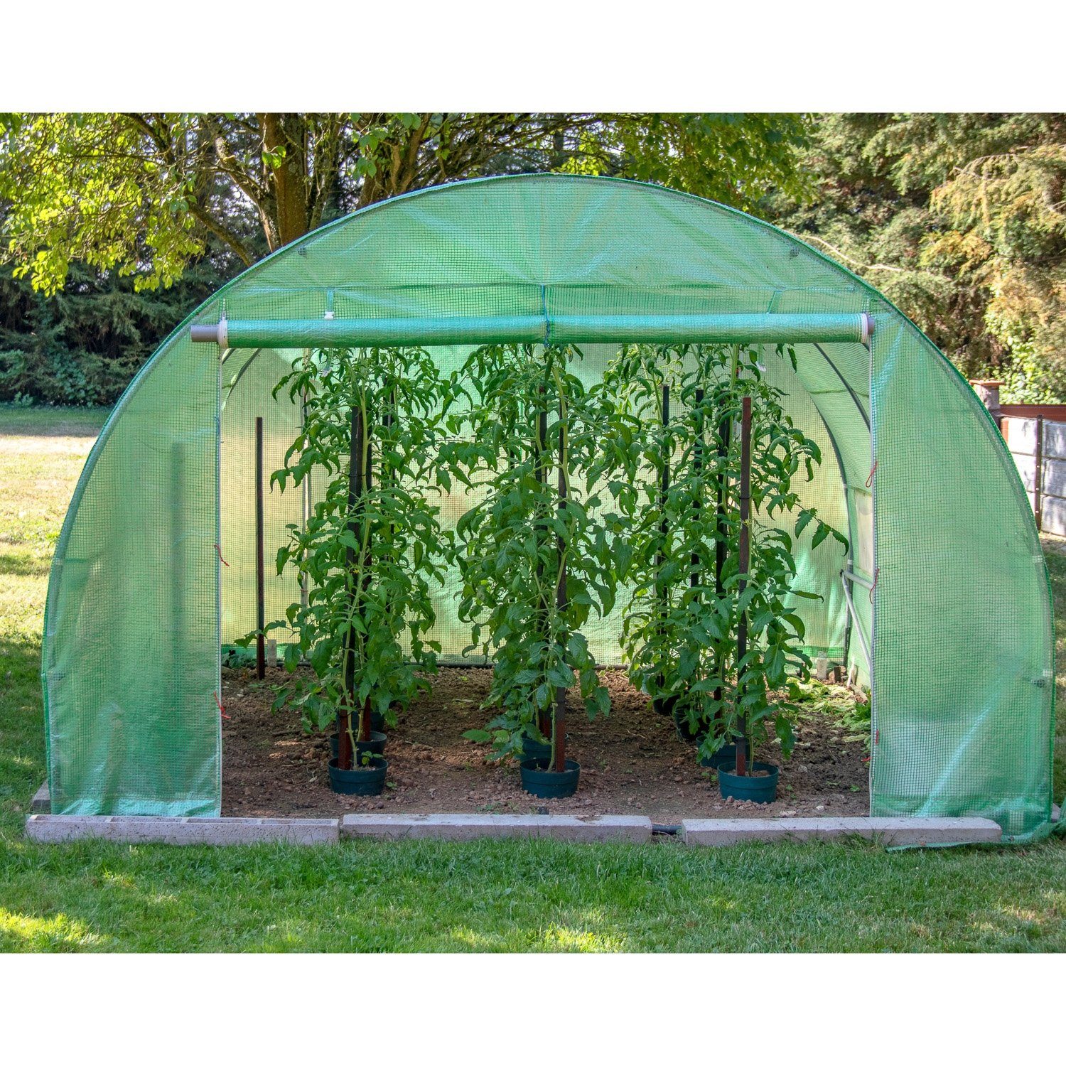 PLANTASIA Foliengewächshaus Folientunnel 300 x 450 cm, mit 6 Seitenfenster, BxTxH: 300,00 x 450,00 x 200,00 cm, Treibhaus, UV-beständig, Farbwahl