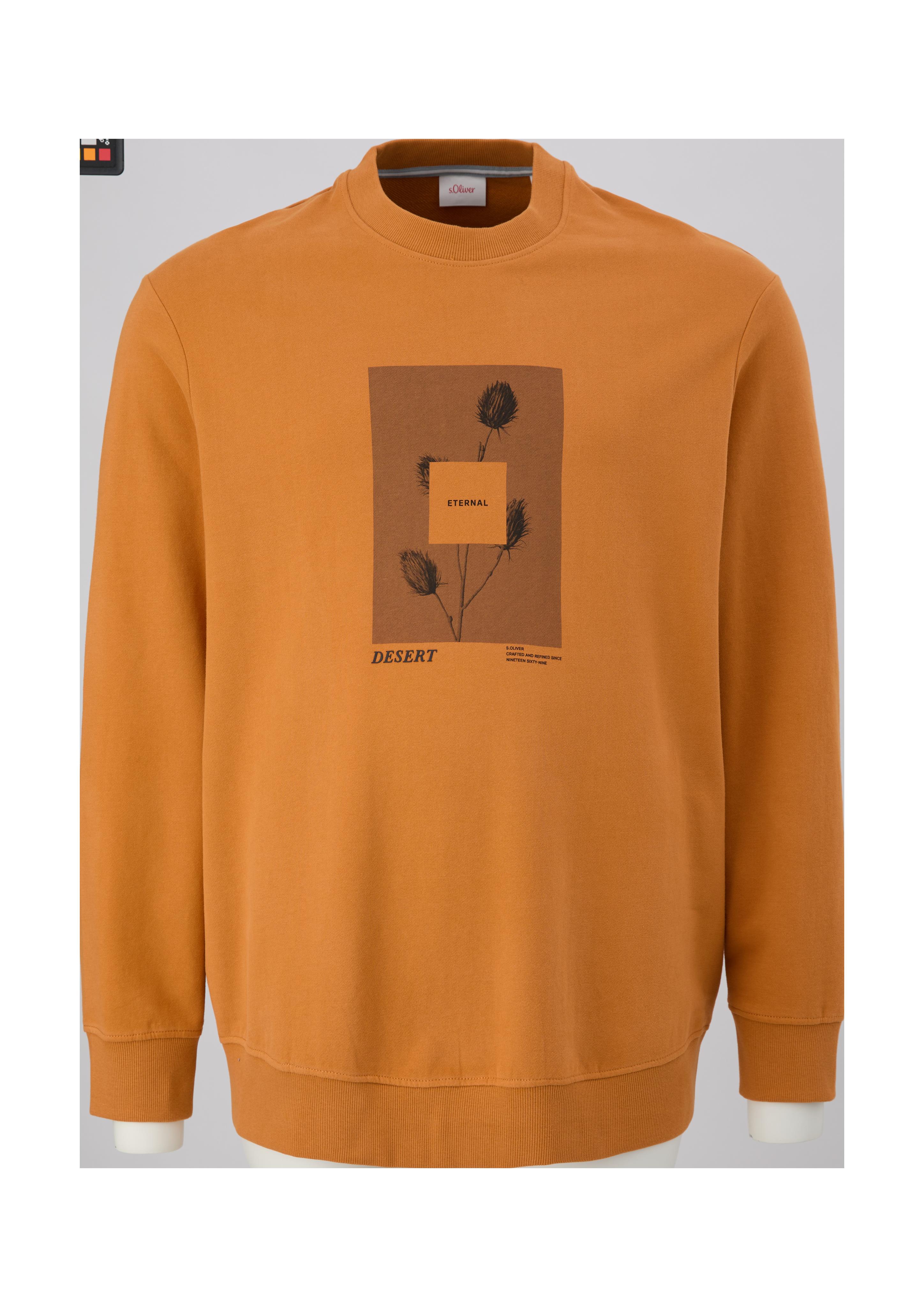 Sweatshirt mit Frontprint  2133052-22D1