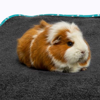 Bunny Bedding Easy