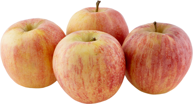 Bio Äpfel rot Gala