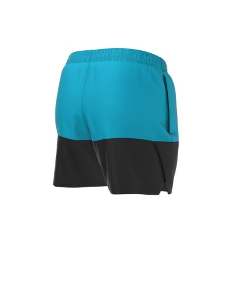 Nike Badeshorts in Blau günstig kaufen