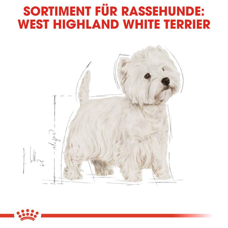 ROYAL CANIN Hundetrockenfutter ROYAL CANIN West Highland White Terrier Adult 2x3 kg