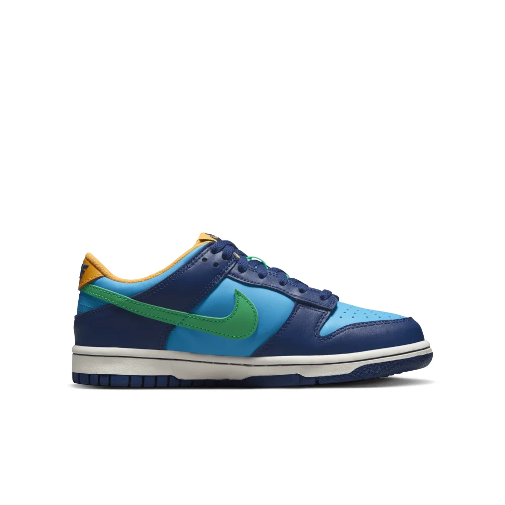 Nike Dunk Low GS DV1693-401 / blau