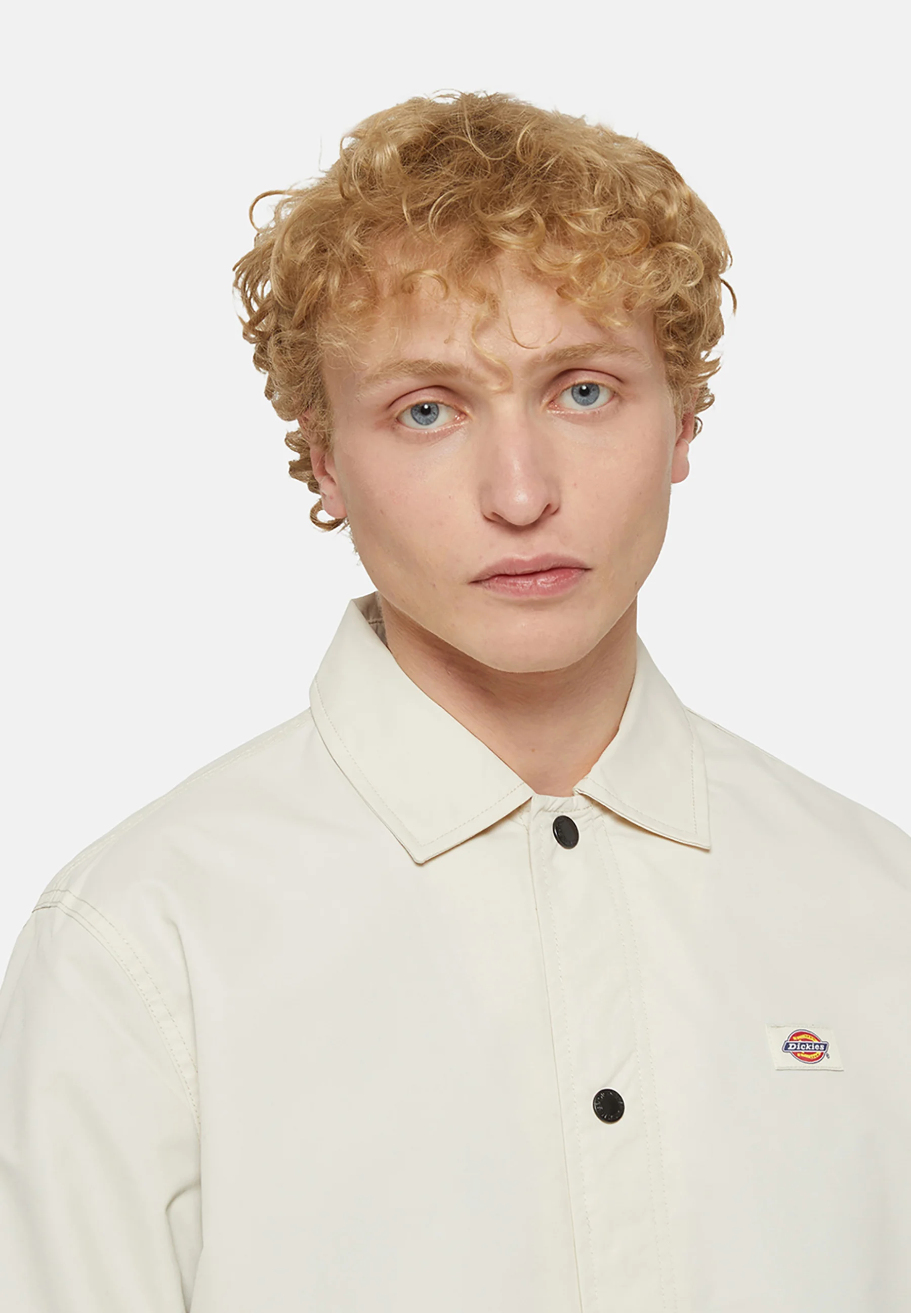 Dickies OAKPORT COACH - Chaqueta ligera