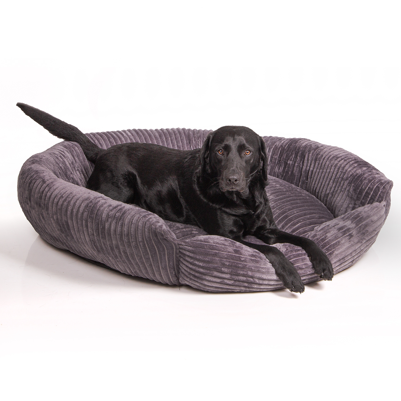 Wallace & Jones Hundebetten Wallace & Jones Hundebett Cordo dunkelgrau M