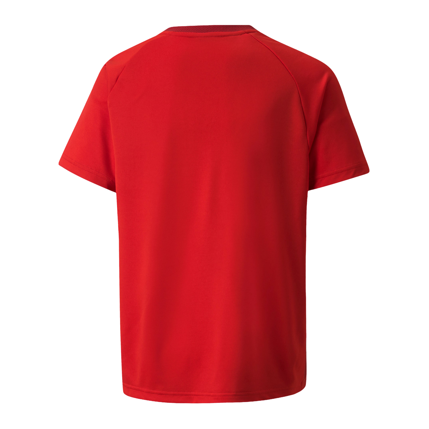 PUMA teamVISION Trikot Kids Rot F01